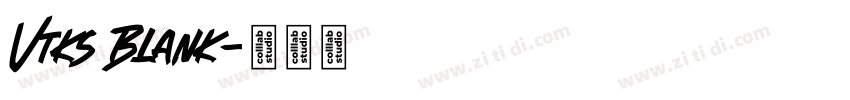 Vtks Blank字体转换